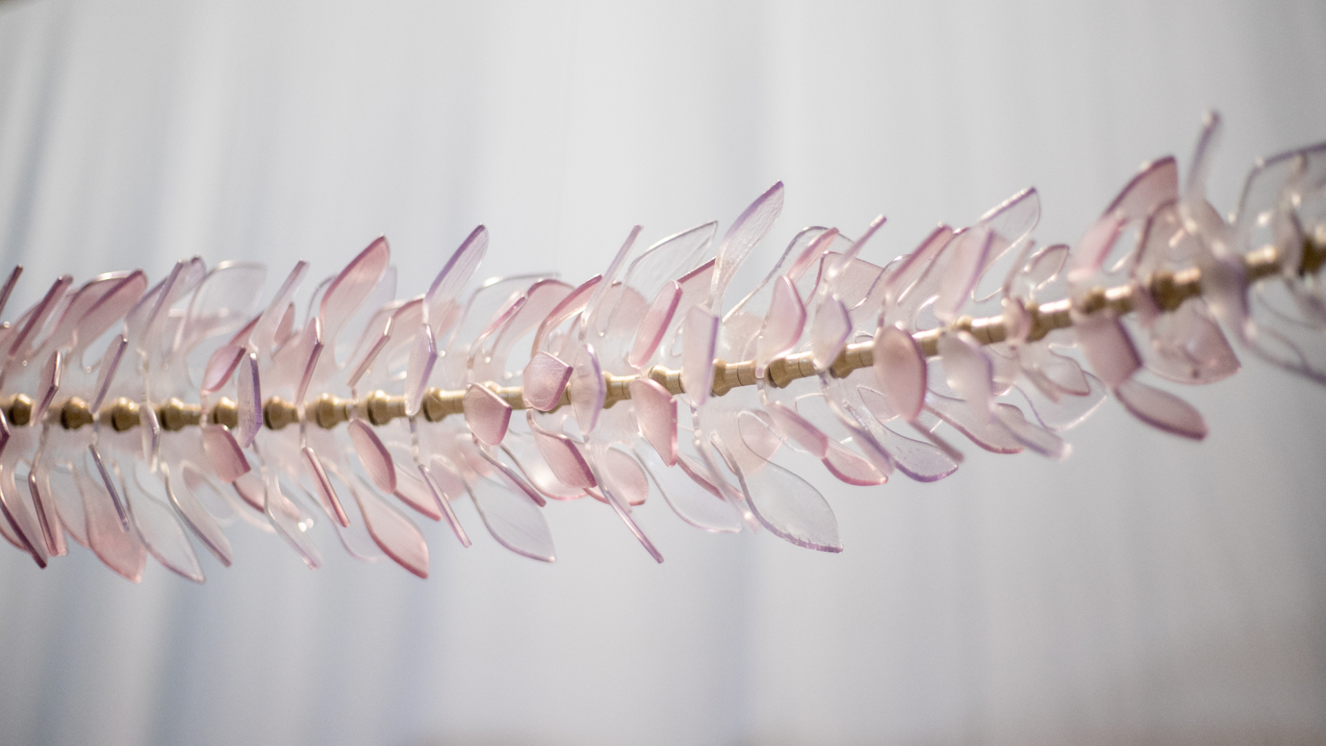 Pearle Hotel and Spa | Eventscape-9