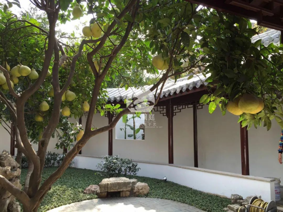 画龙点睛——庭院植物搭配解析-49