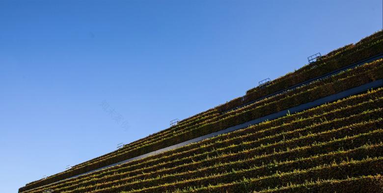 Hartmann Architekten丨Kö Bogen II丨德国-4