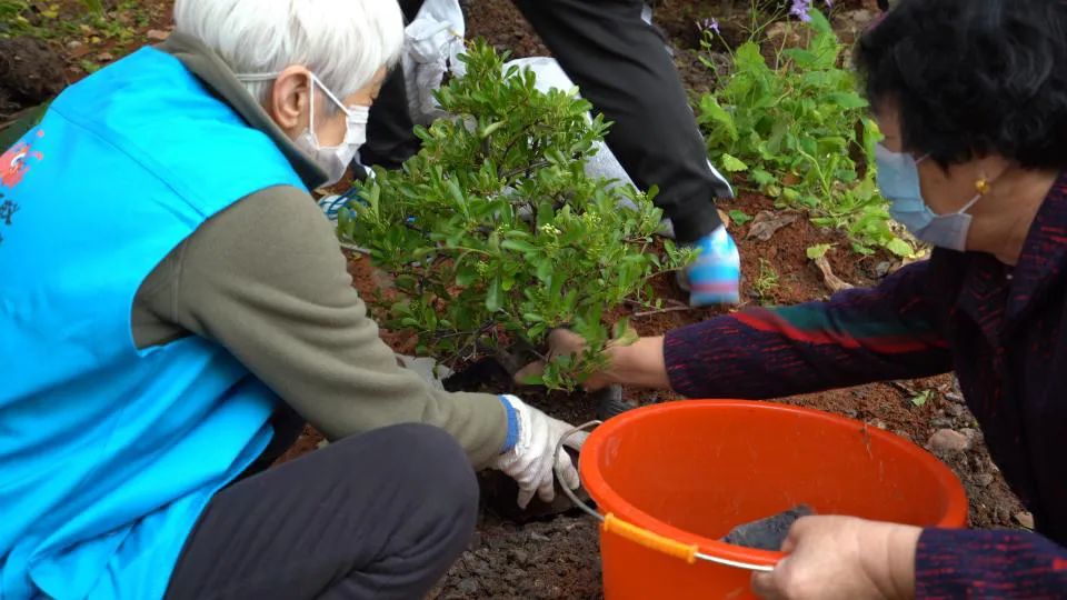 地球日特辑 | 社区花园VS城市生境-65