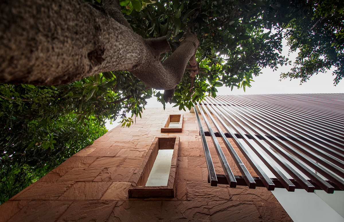 House With 49 Trees RENESA-56