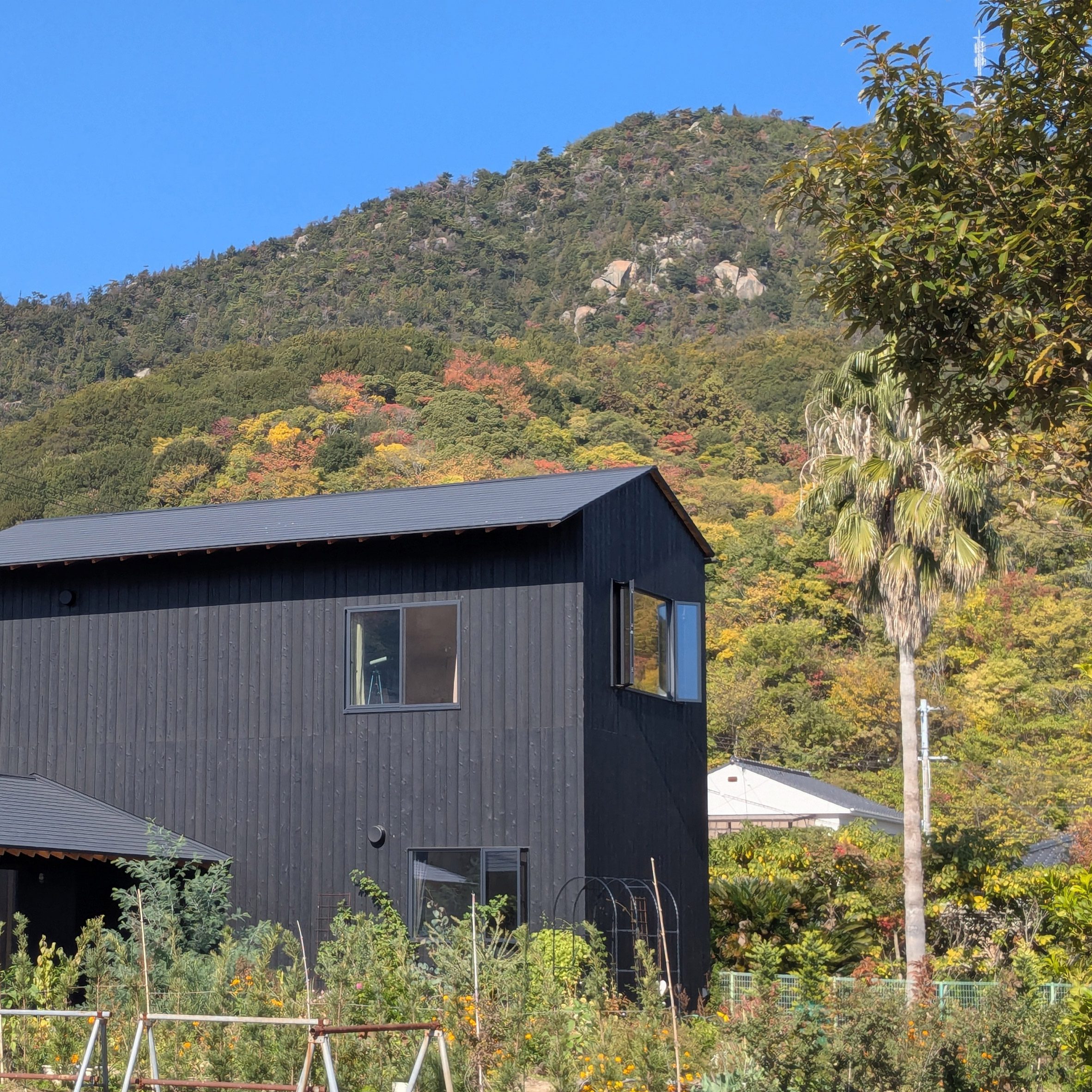 尾道的房子丨日本丨Denizen Works,Take Architects-4