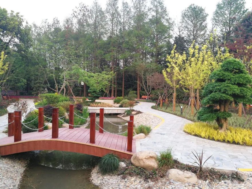 颜值爆表!长宁区有一处街心花园建成开放-37