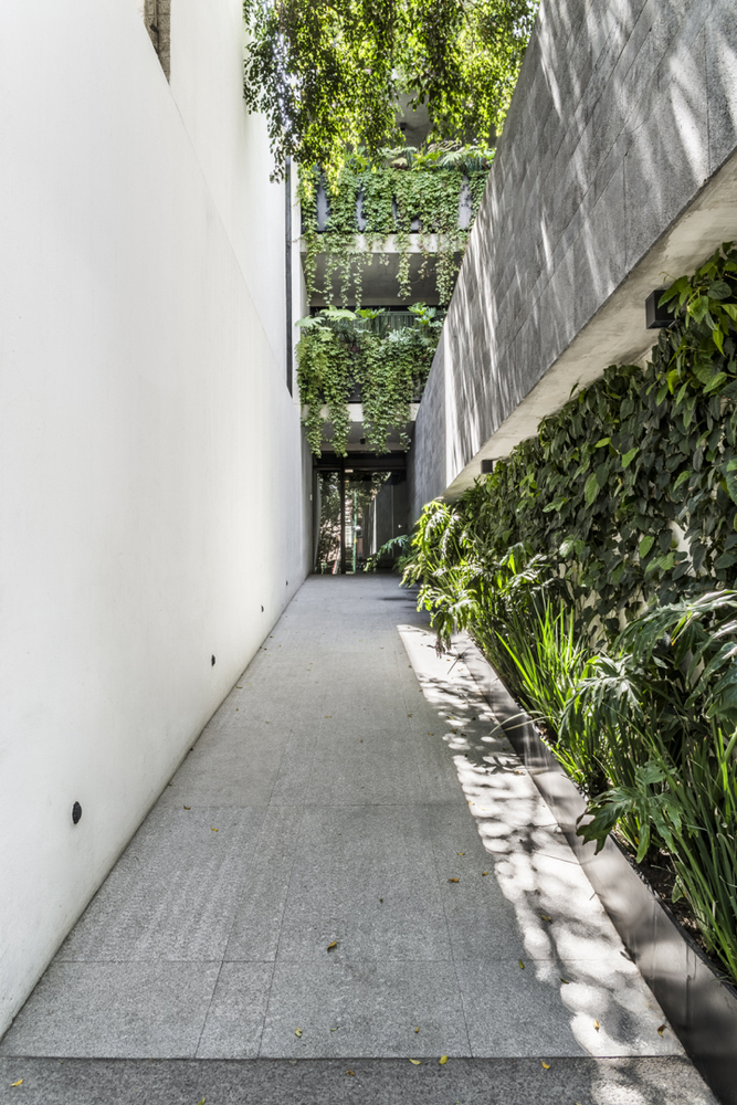 墨西哥城市中心绿意盎然的高级公寓楼-20