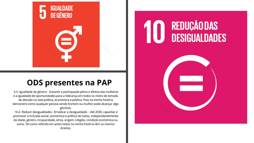 Criação de uma PaP (Projeto de Aptidão Porfissional)-55