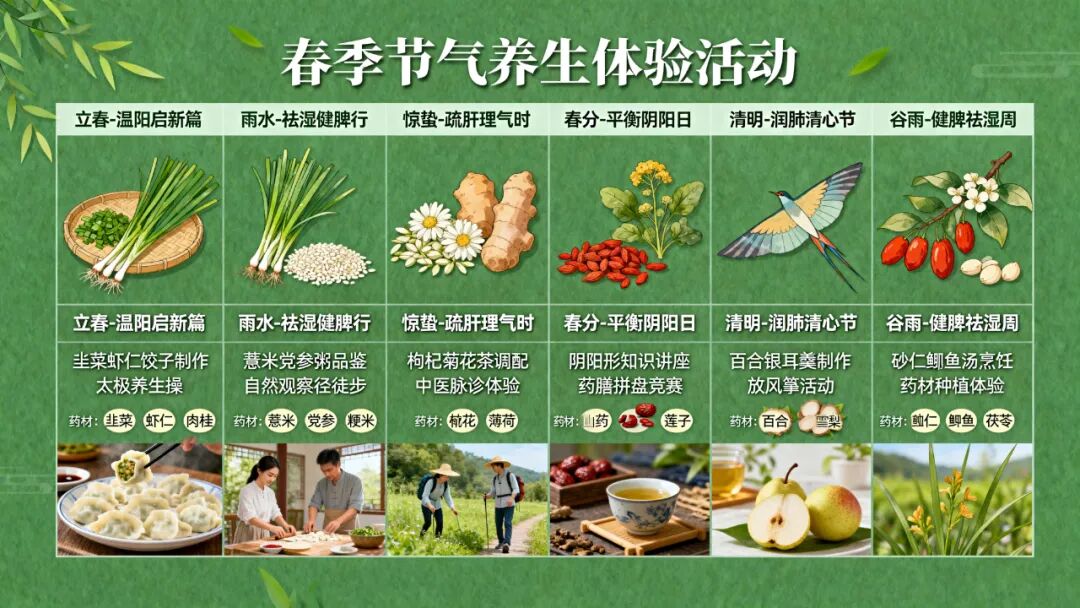 华北药食同源研学文旅基地:种药成景,研学为魂——全链条沉浸式文旅创新方案-318