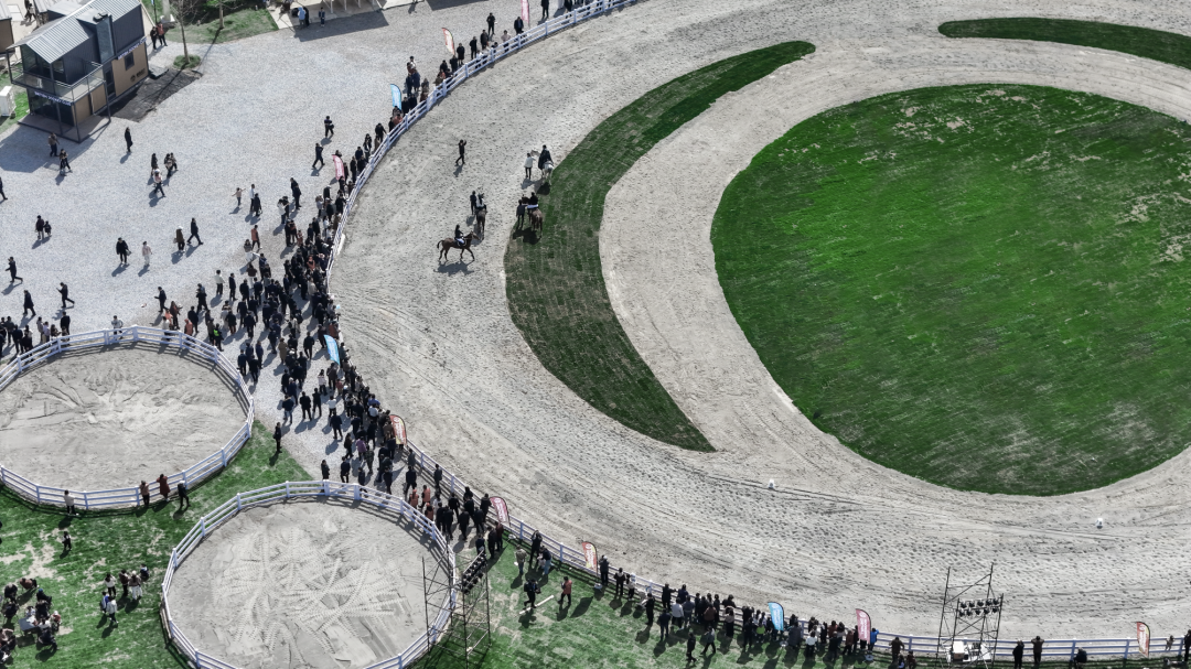 青来计划·蘑菇点灯，让每一座乡村找到自己的光|中青博纳|印文设计-43