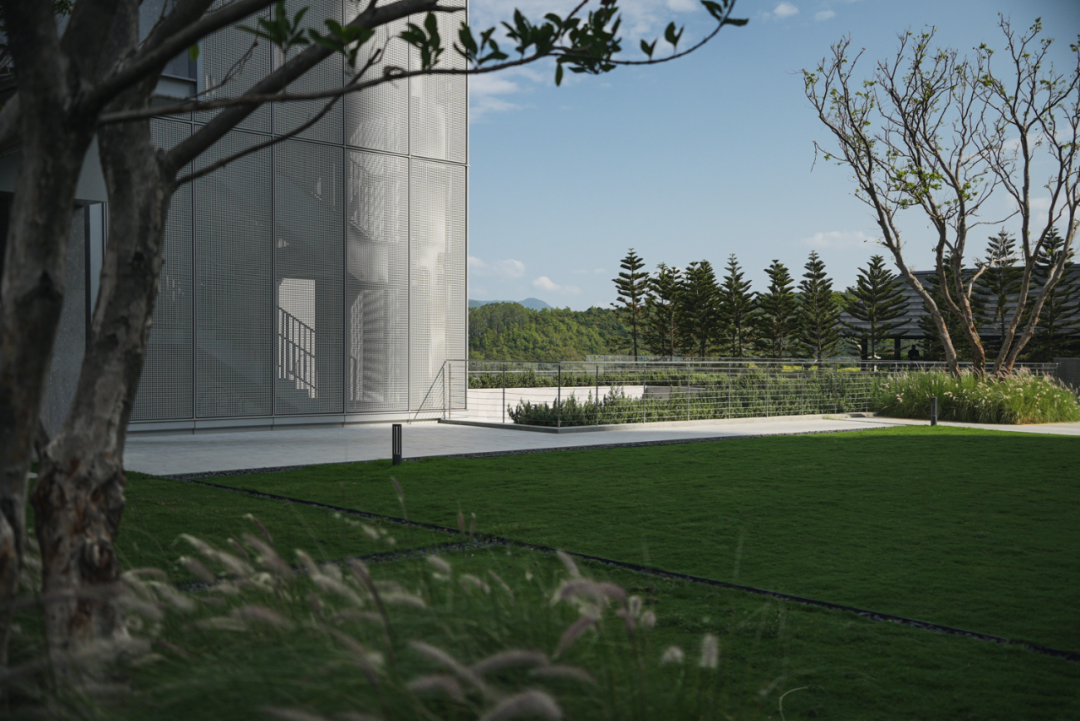 山岚褶皱处的寂静生长|阿那亚三亚景观秘境诗学-225