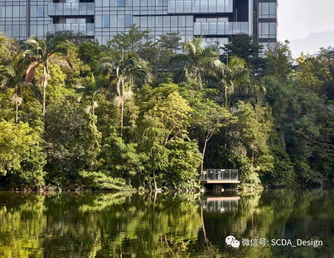 SCDA Architects | OCT 新天鹅堡，建筑与自然的绝美交响-0