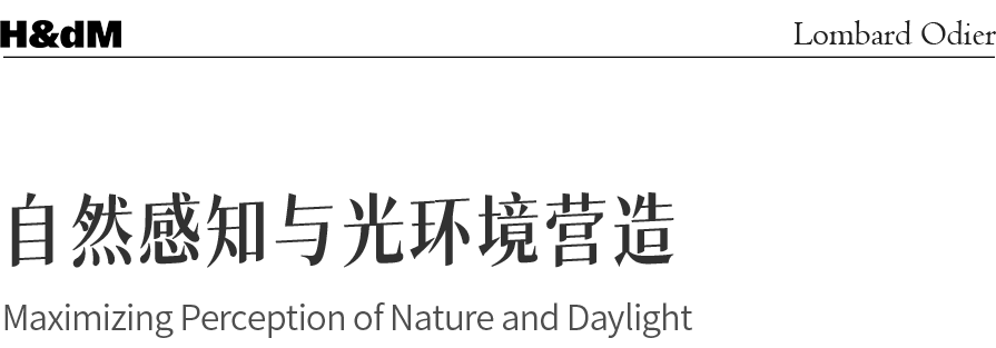 Lombard Odier全新总部大楼丨瑞士日内瓦-32