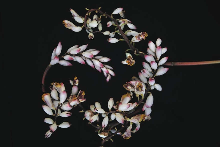 幻影天堂 · 热带深渊-5