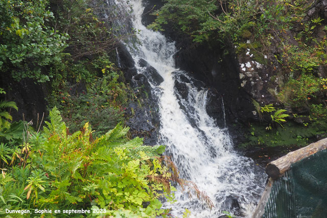 爱丁堡高山植物园丨英国爱丁堡-22