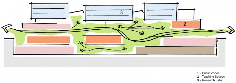 哈佛大学科学和工程综合楼丨美国丨Behnisch Architekten-9