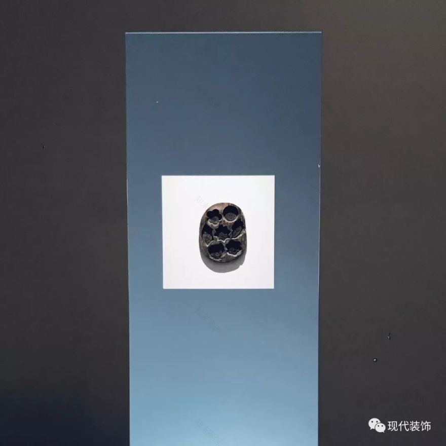 万物生长 | 深圳蛇口 400 平米自然有机空间-9