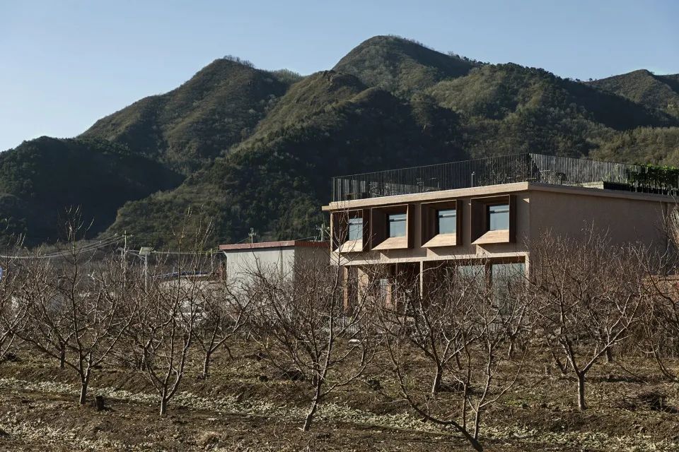 杏院–望远山居丨中国福建丨厦门泛华设计·回应建筑工作室（RESP Studio）-12