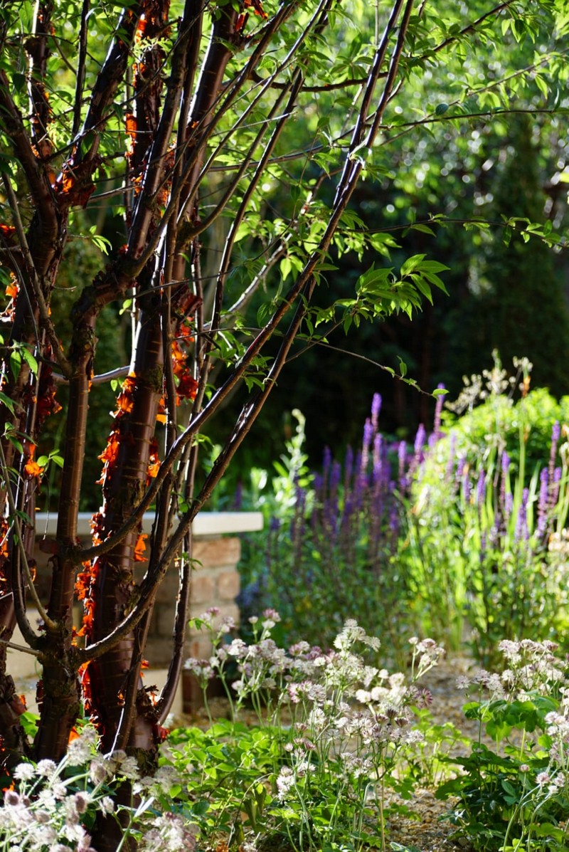 圣基兰城堡公园内400平方米英式田园风花园丨法国丨Opus Paysage  Alexandre Tonnerre-17