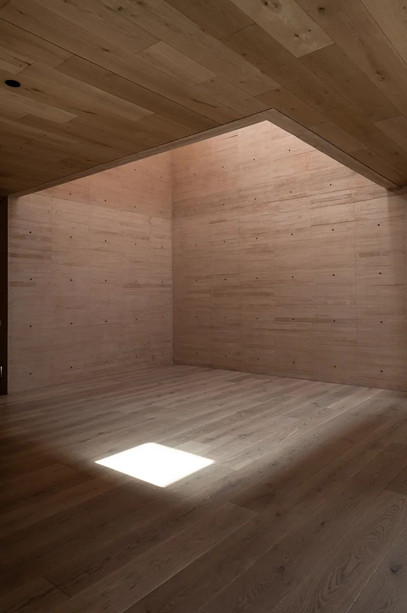 特霍科特之家丨墨西哥丨Gonzalez Muchow Arquitectos-59