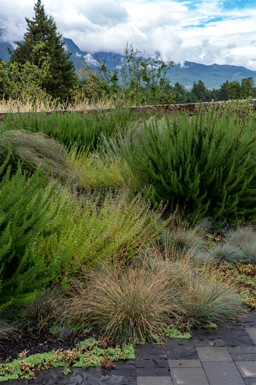 丽江·HYLLA 物与岚收藏酒店景观丨中国白沙丨z’scape 致舍景观-32