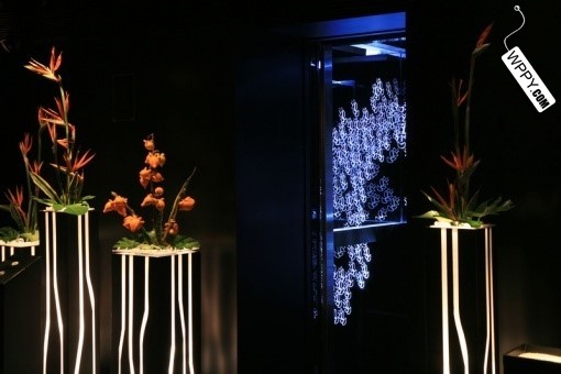 [夜店] Gingko Bacchus Restaurant-2