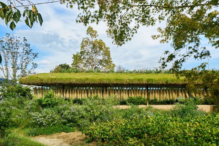 Laboratory Under The Crop Field-14