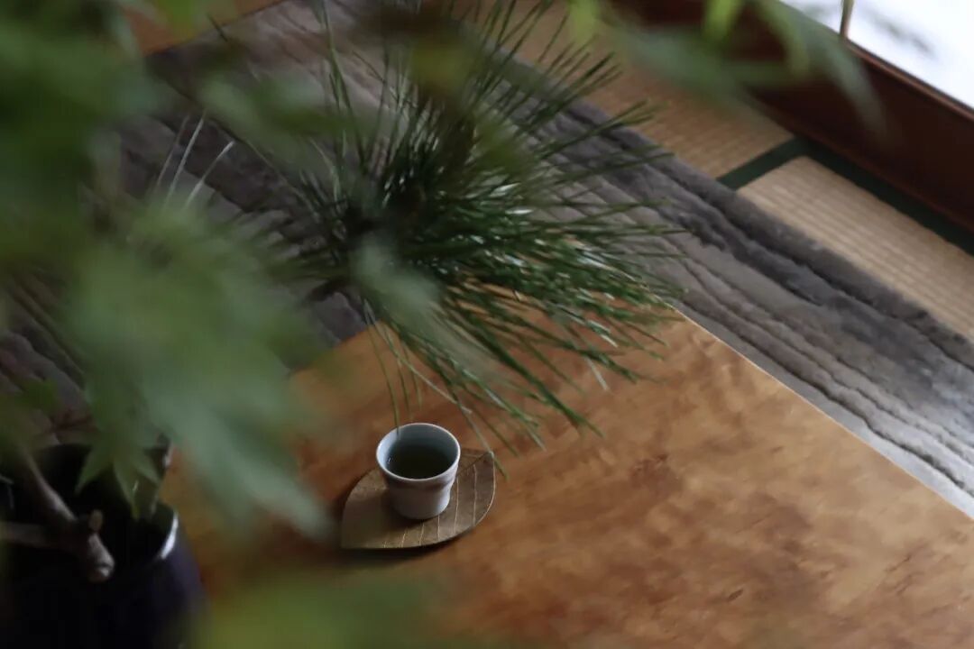 未明确提及丨日本福冈-31