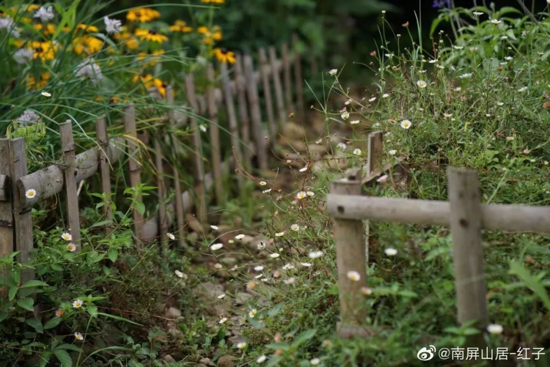 辞去工作，历时7个月，他们过上了有院子，有诗和远方的生活-63