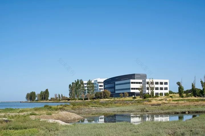 加州布里斯班滨海大道办公大楼室内外改造-31