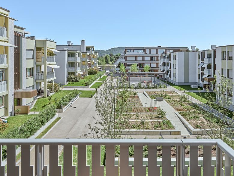 Züst Gübeli Gambetti丨Nachverdichtung Siedlung «Im Grund»丨瑞士-28