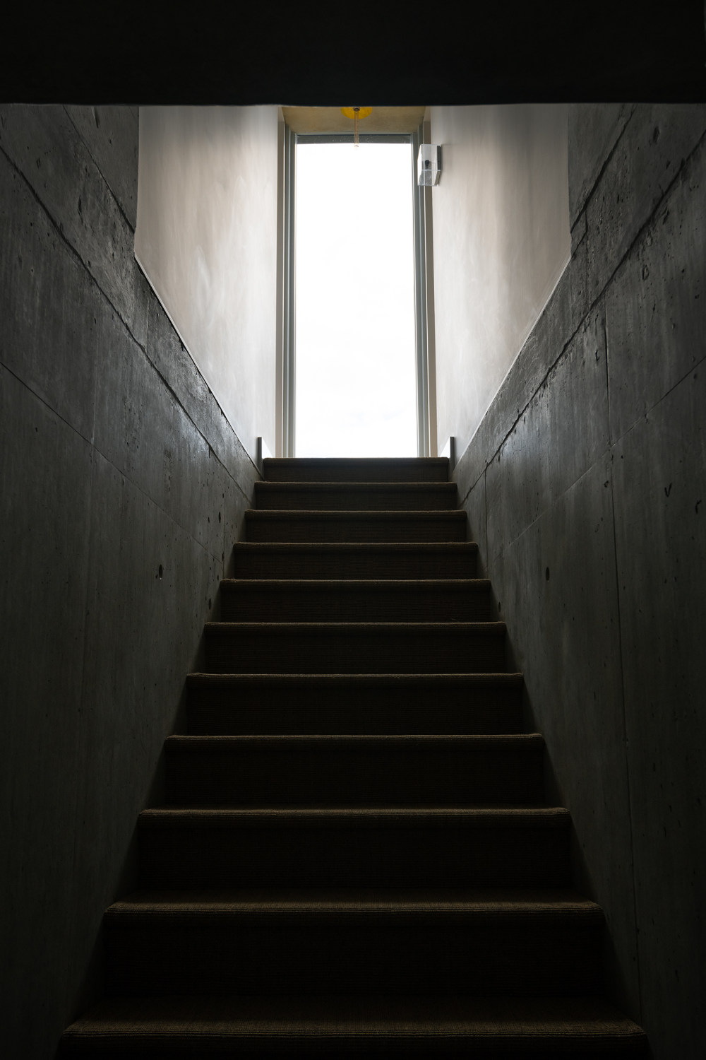 尼瑟斯特农场（Nithurst Farm）丨Adam Richards 设计丨英国-9