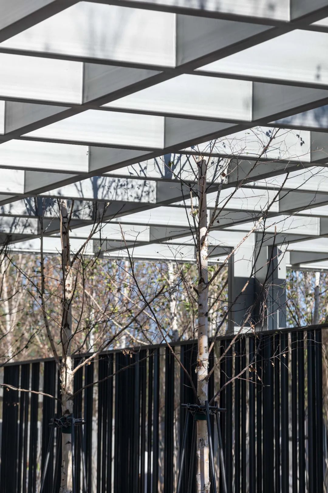 复地长春卡伦湖生态城体验区丨中国长春-27