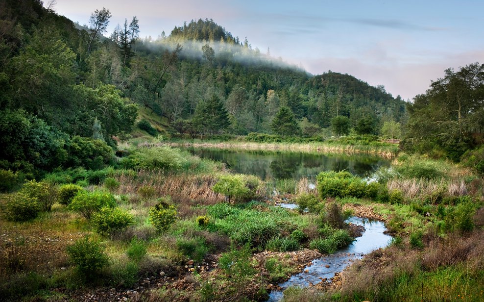 纳帕谷 Calistoga Ranch 度假村丨JCA 团队-11