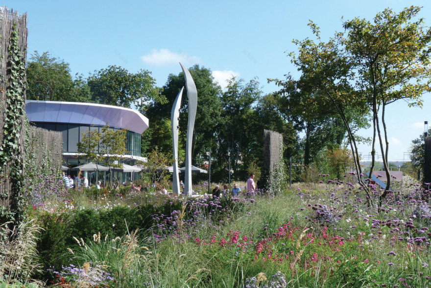 荷兰格罗宁根凯普肯斯堡城市花园-16