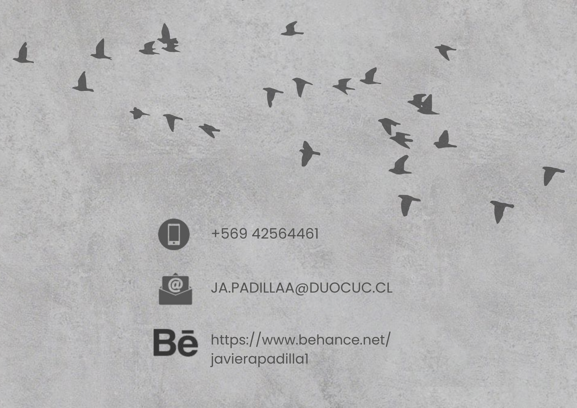 PORTAFOLIO JAVIERA ARANCIBIA PADILLA-25