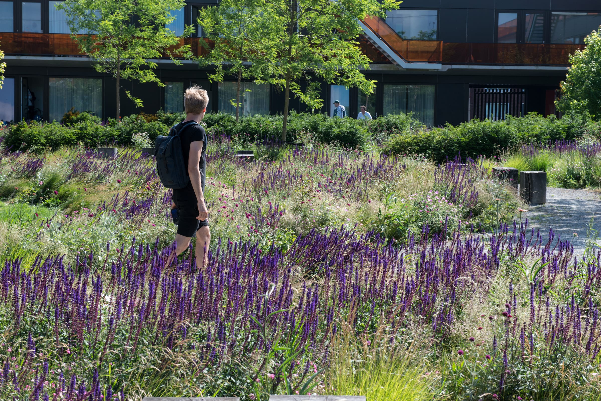 整个欧洲，德尔瓦景观建筑师事务所-51