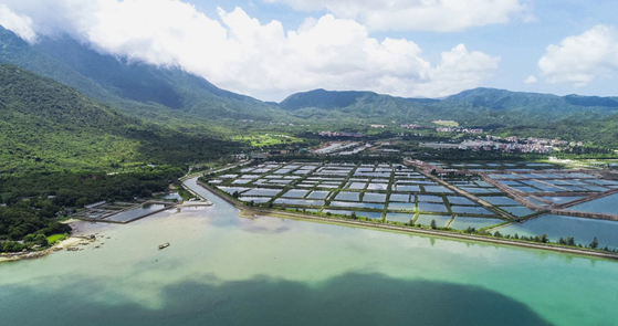 海洋风情,文化凝聚——深圳海洋博物馆设计探析-7