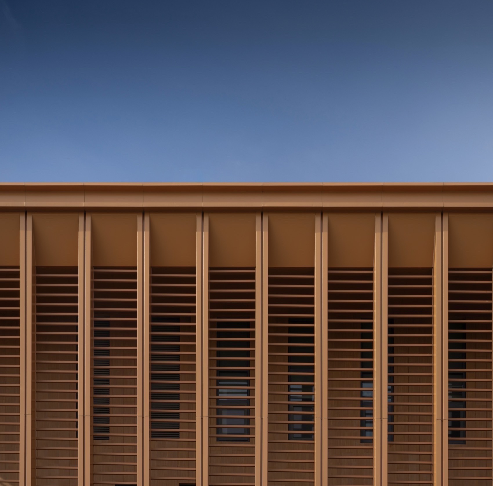 江苏省梅村高级中学空港分校丨中国无锡丨华南理工大学建筑设计研究院有限公司-83