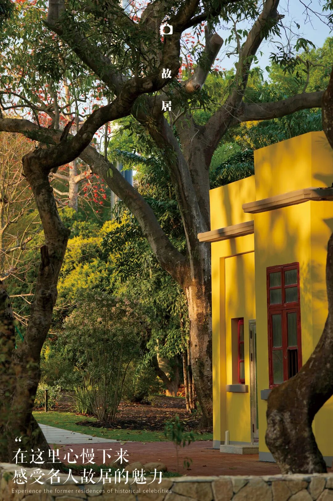 十一赏景别错过！华南国家植物园[绿美广东物种展示园]-36