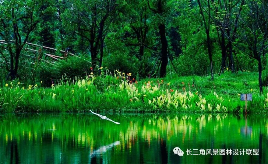 天堂的湿地,湿地的天堂-80