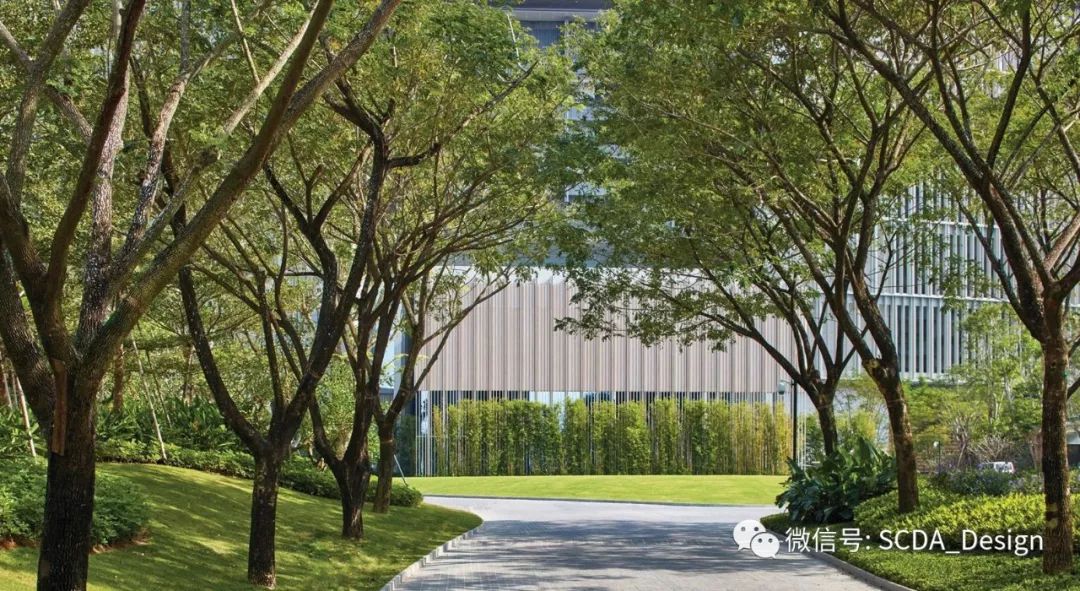 SCDA Architects | 三亚艾迪逊酒店，宏伟与静谧共存-25