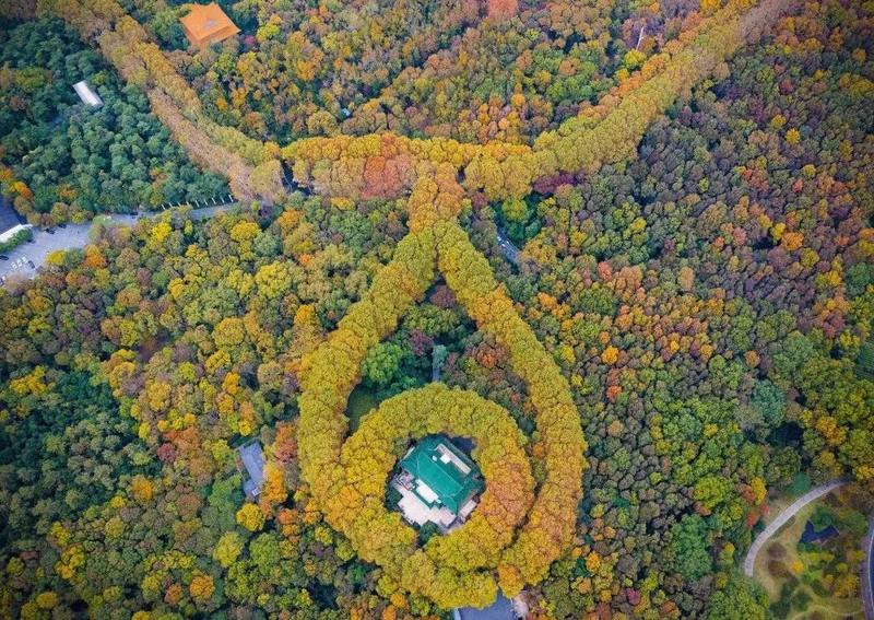星河普宁明珠湾楼王丨中国广东丨万文拓,张清华,蒋茂华,张志孝-14