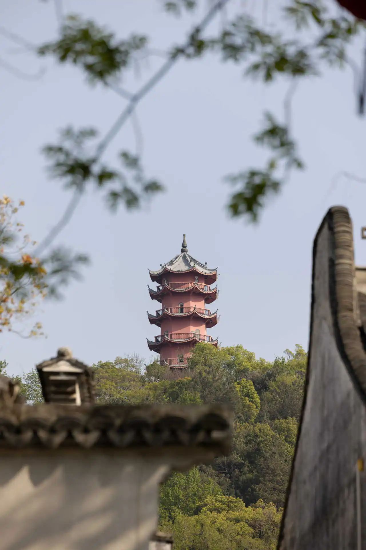 小茶栽堂丨中国无锡丨无锡欧阳跳建筑设计有限公司-1