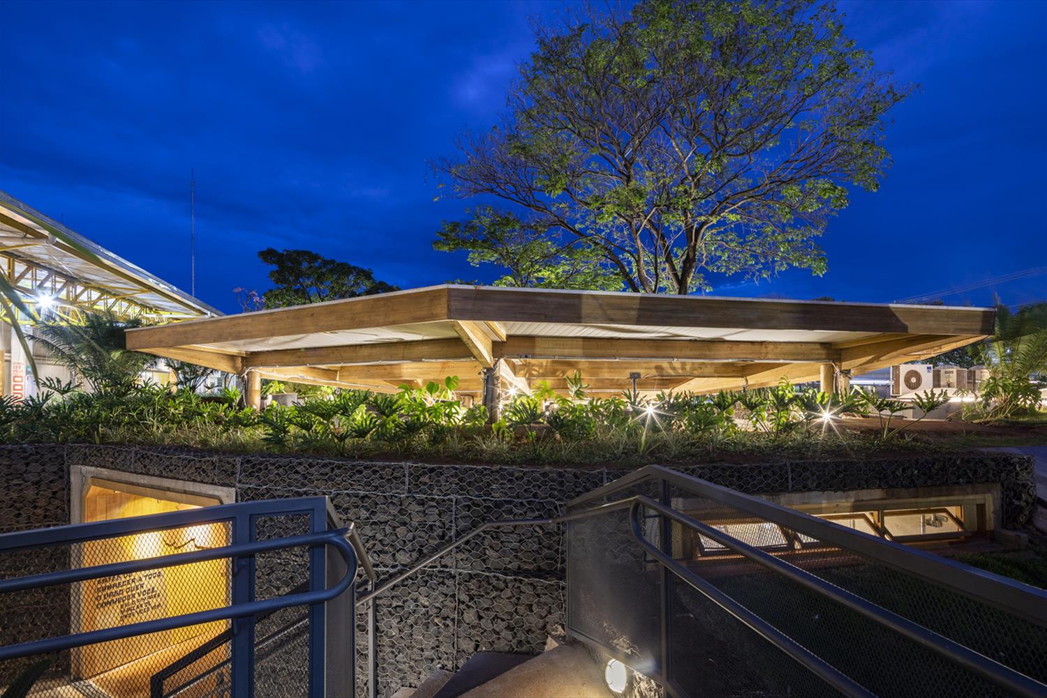 Toca do Urso · 绿色可持续的创新酒吧设计-1