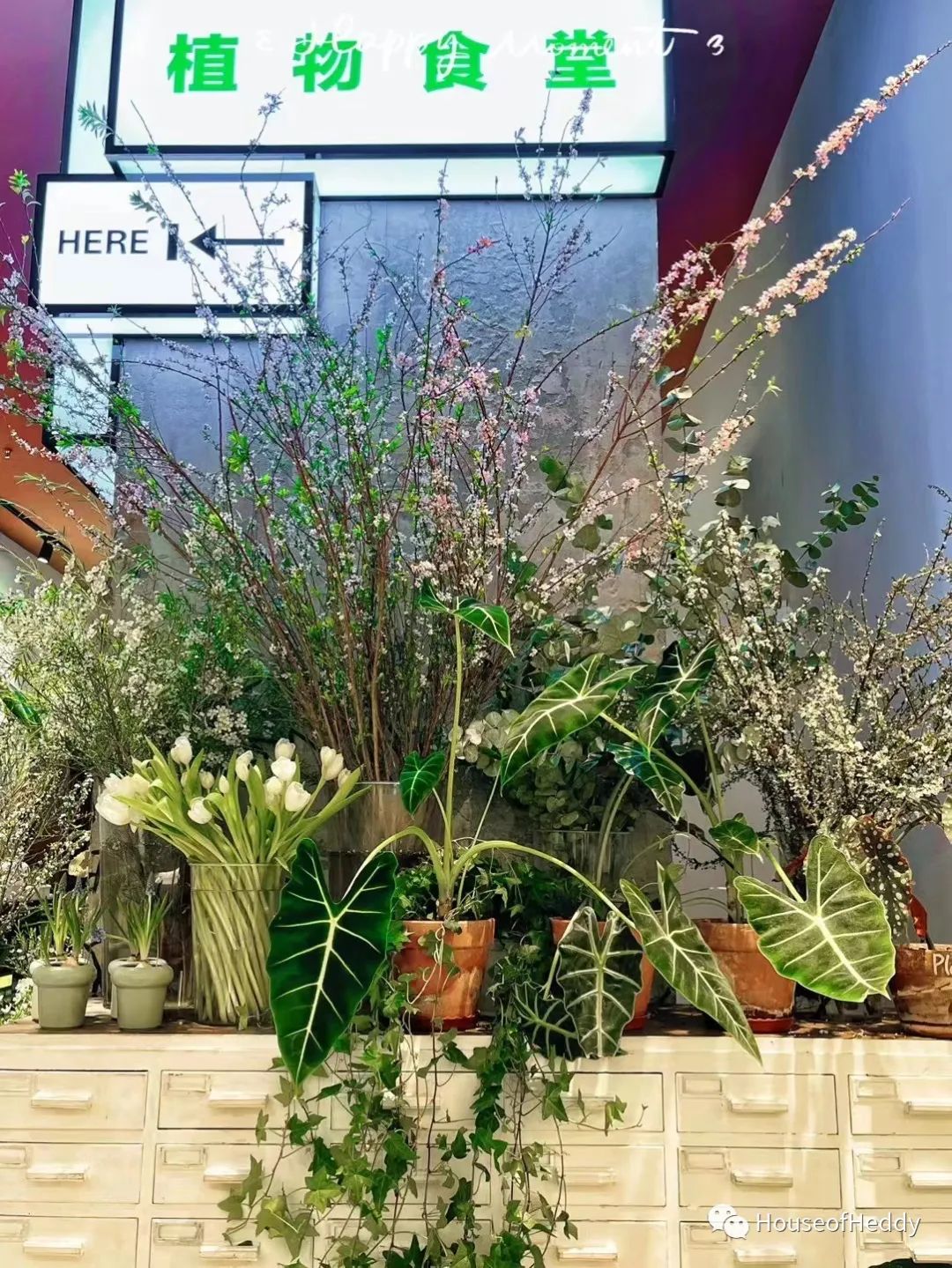 云想疗愈空间 | 遇见真我，在疗愈中寻找战胜自己的力量！-156