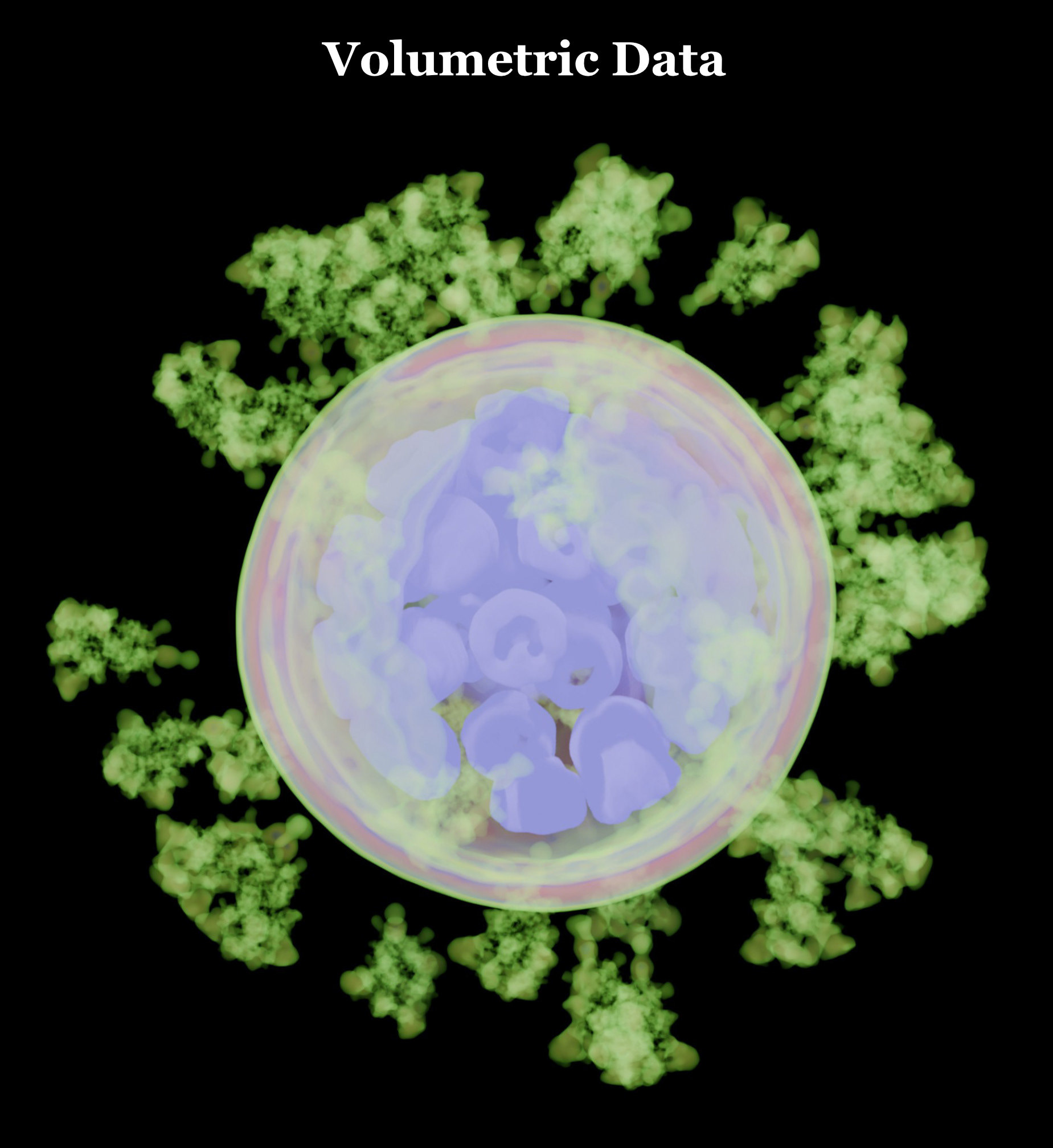 风格化生物学-21