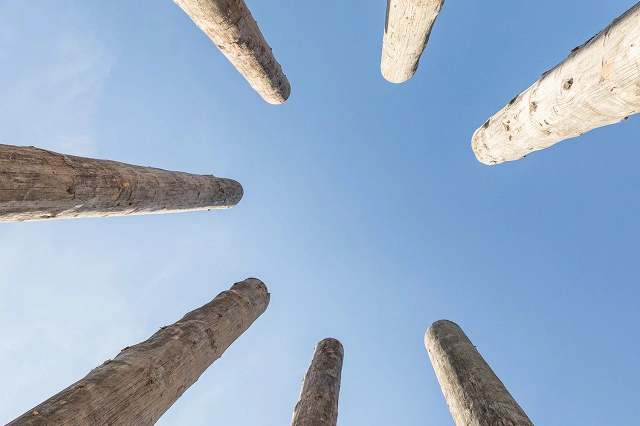 庇护所;避难所;掩蔽处丨荷兰丨比利时事务所 Gijs van vaerenbergh-38