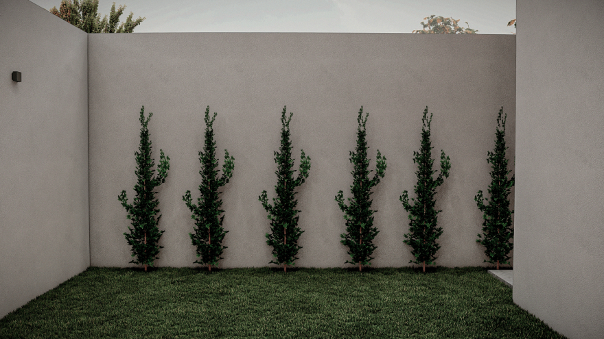 Ilusión 多功能建筑丨墨西哥托卢卡丨Casa Arquitectos-11