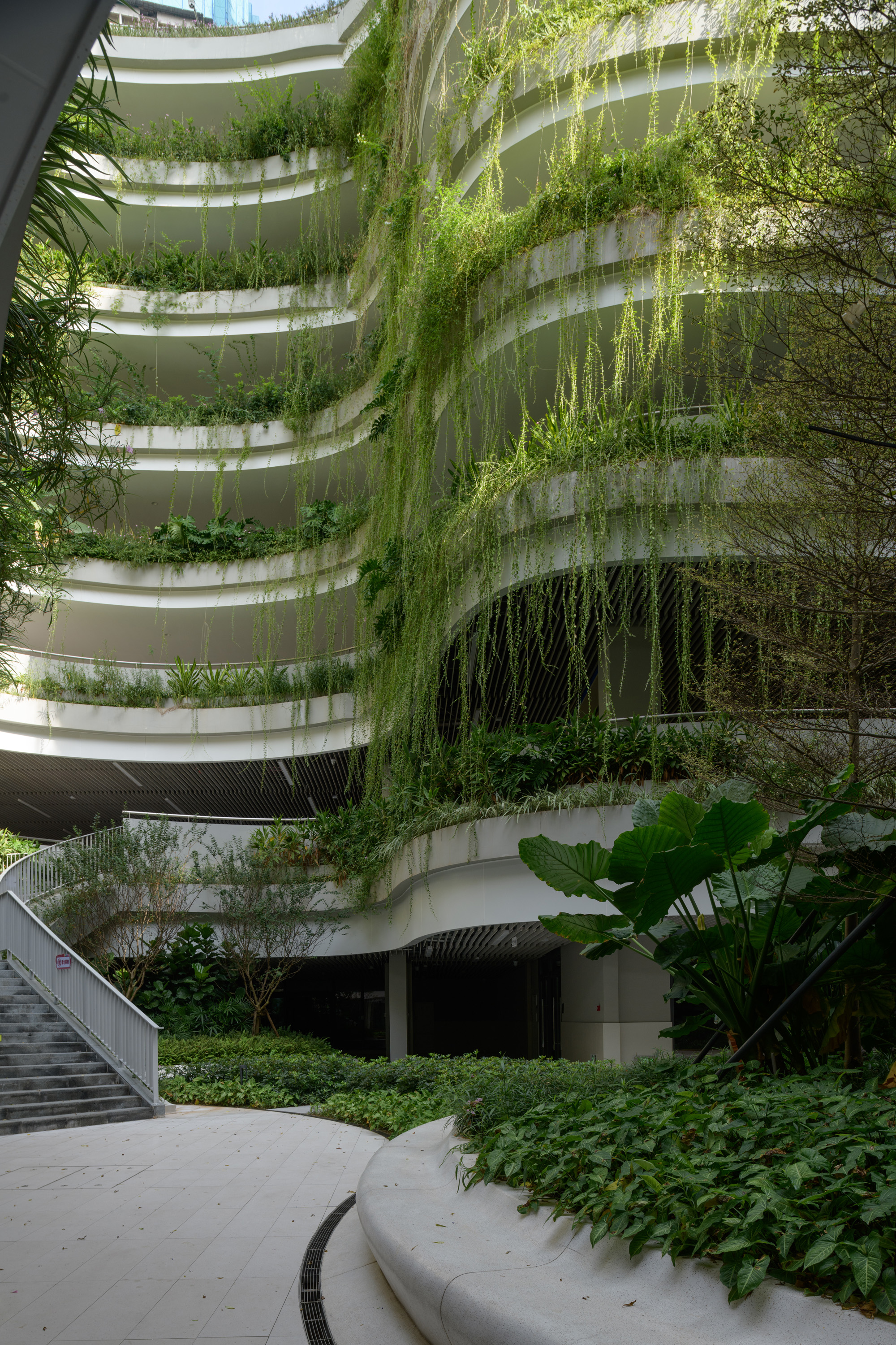 红岭教育集团 华富实验学校丨中国深圳丨大小景观,深圳市建筑设计研究总院有限公司,广州天泓-107