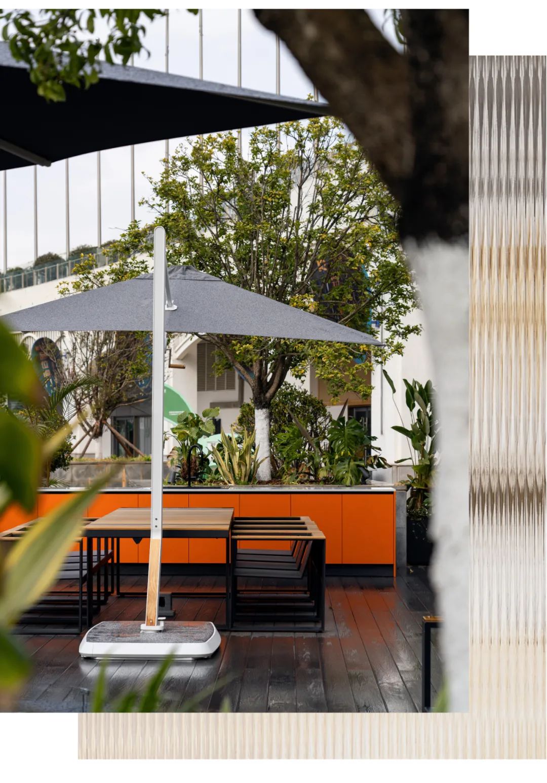 唱片工作室丨中国昆明丨主案方飞,朱兴鹏,参加设计赵超-2