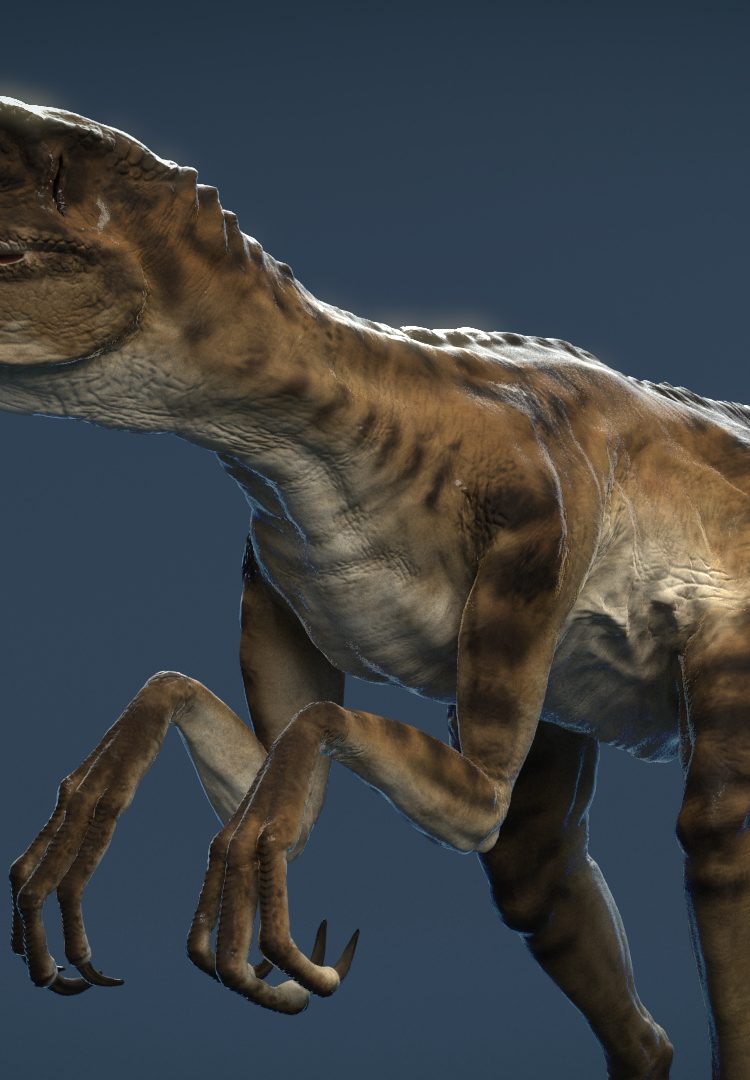 Augmented Reality Animals with Triad Berlin • xoio-25