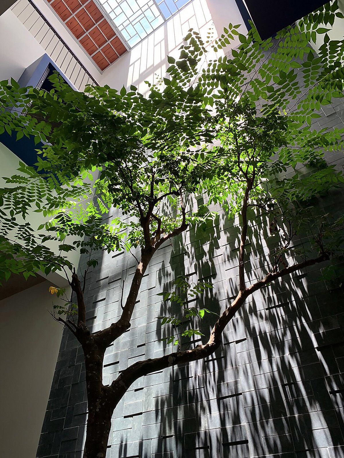 绿意盎然的家庭居所——现代中式的“空中花园”设计-14